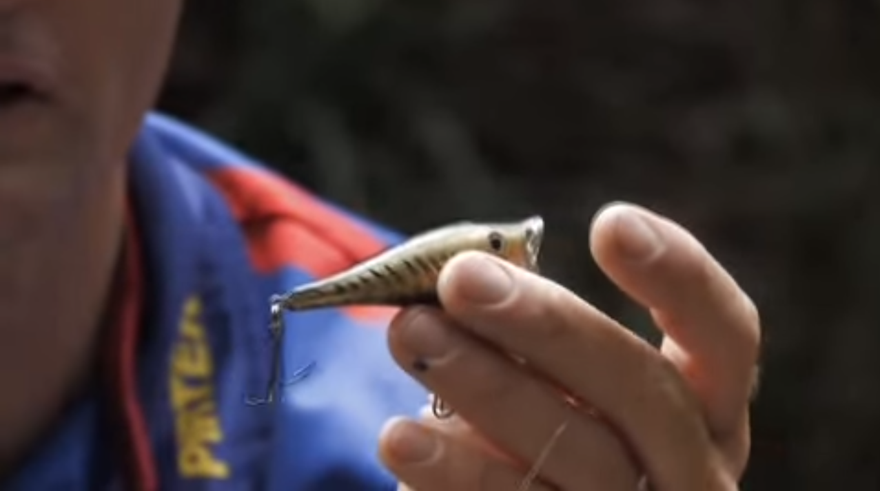VIDEO: Fishing the Edge – Bass On Poppers