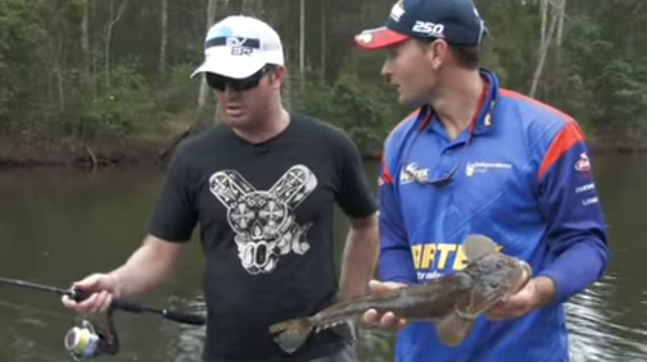 VIDEO: Fishing the Edge – Shaky Shad Flathead