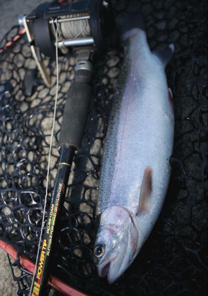 Trout Fishing With Leadcore Line 