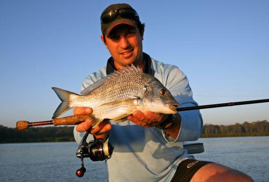 Shimano Stradic Ci4 spin reels - Fishing World Australia