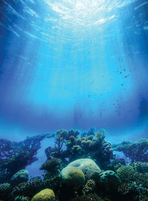 Marine Parks explained