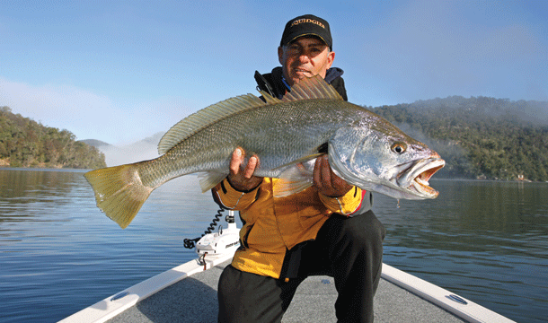 Drop Shotting for Jew