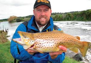 Big Browns of the Southwest