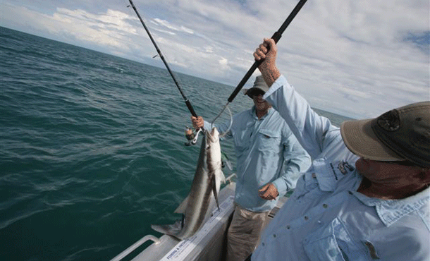 Senator Ron Boswell Pic: Jim Harnwell