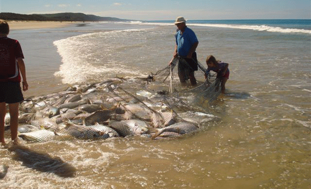 Senator Ron Boswell Pic: Jim Harnwell