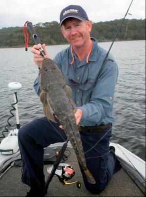 Understanding Lures: Soft Plastics