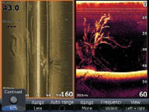 Senator Ron Boswell Pic: Jim Harnwell