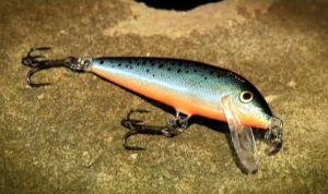 VIDEO: How to use: Rapala Countdown