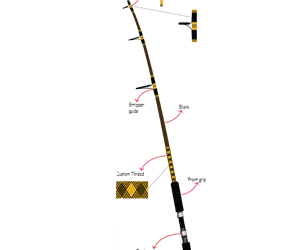 Pic: Mick Fletoridis