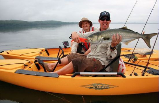 inline_660_https://yaffa-cdn.s3.amazonaws.com/fishing/images/dmImage/SourceImage/Bay & Basin tailor 550.jpg