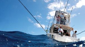 Pic: Mick Fletoridis