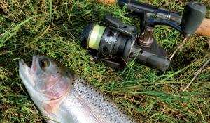 Pic: Mick Fletoridis