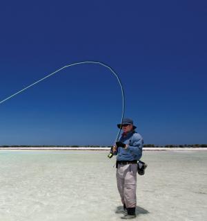 Pic: Mick Fletoridis