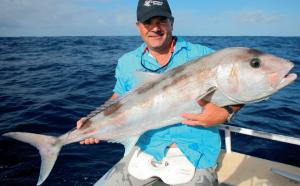 Understanding Lures: Odds & Ends