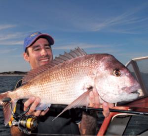 Shimano TwinPower FC