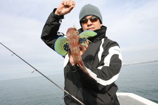 inline_49_https://yaffa-cdn.s3.amazonaws.com/fishing/images/dmImage/SourceImage/Weird & w 550.jpg