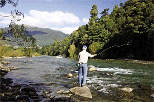 Federal Environment Minister Tony Burke.
