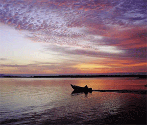 Federal Environment Minister Tony Burke.