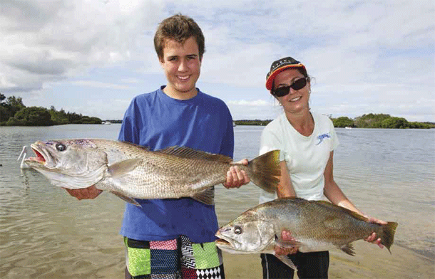 Federal Environment Minister Tony Burke.
