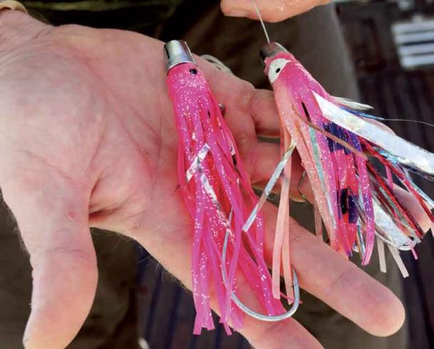 Federal Environment Minister Tony Burke.