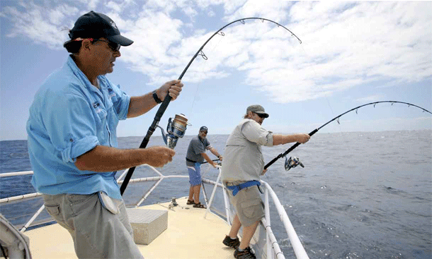 Federal Environment Minister Tony Burke.