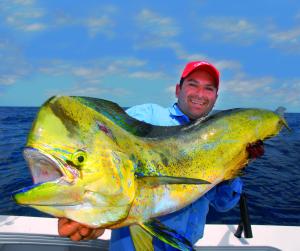 After the rain: One Flooded Summer