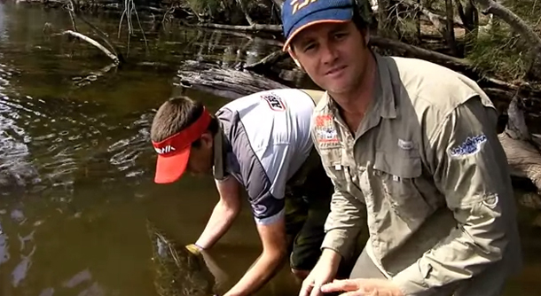 Federal Environment Minister Tony Burke.