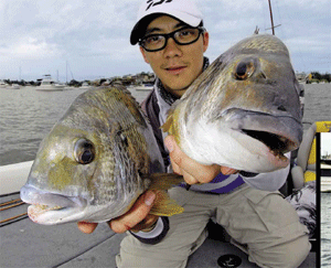 Federal Environment Minister Tony Burke.