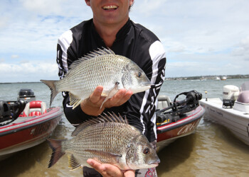 Federal Environment Minister Tony Burke.
