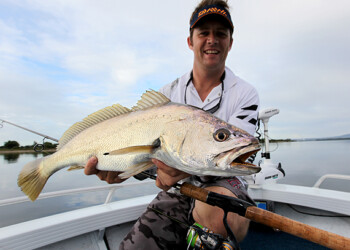Federal Environment Minister Tony Burke.