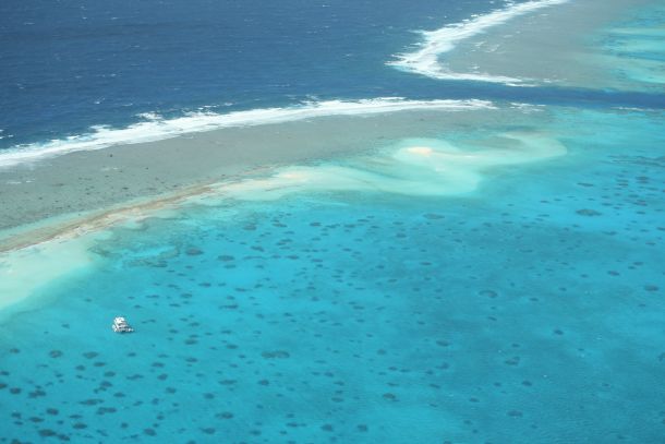 The Billfish Foundation weighs into Coral Sea debate