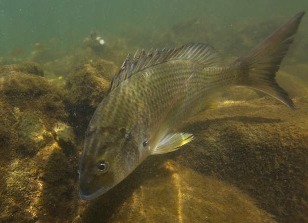 Casting Towards Tomorrow