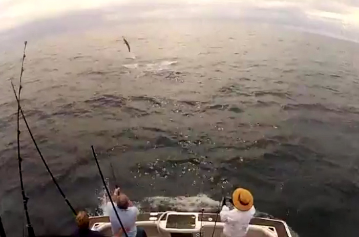 VIDEO: Dadsboat Tournament Highlights – 2012 Shellharbour GFC Open