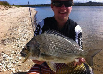 Moller’s monster bream on surface