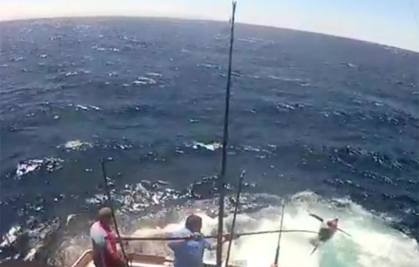 High flying tagshot on Dadsboat