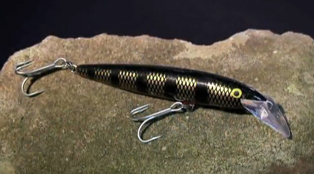 VIDEO: How to use – Rapala Shallow Magnum