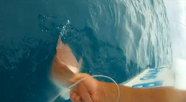 VIDEO: Releasing snapper in deep water