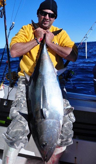 inline_146_https://yaffa-cdn.s3.amazonaws.com/fishing/images/dmImage/SourceImage/Ant tuna 3 400.jpg