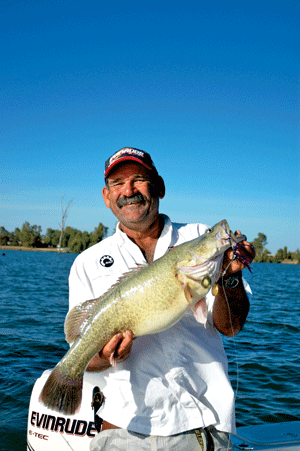 BUSHY ON LURES –  Stranger in a strange land