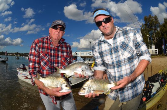 inline_85_https://yaffa-cdn.s3.amazonaws.com/fishing/images/dmImage/SourceImage/Bream Syd Tony & Ross 550 .jpg