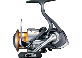 Bassing with 2500 Freams