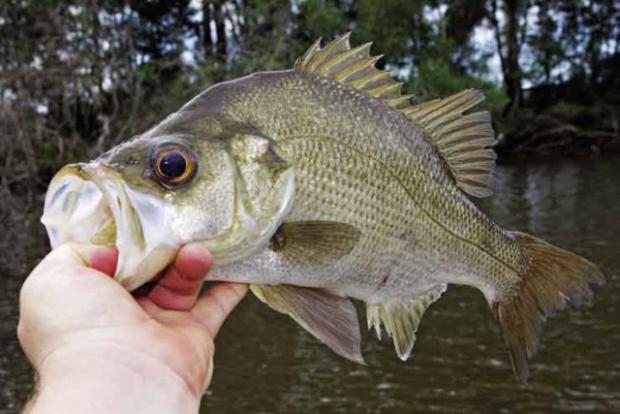 Weekend Escape: Brunswick Heads