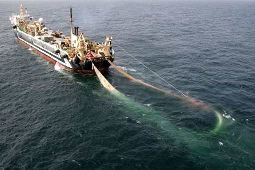 Tuna industry spokesman supports super trawler