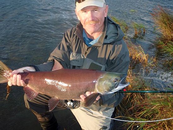 Despite the wind, kokanee are busy biting and fighting