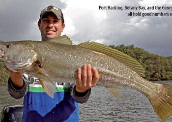 Sydney Systems – Part One