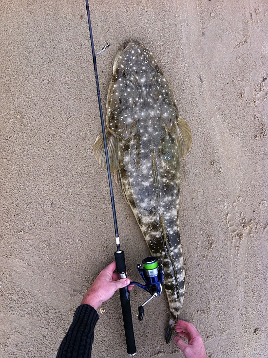 inline_784_https://yaffa-cdn.s3.amazonaws.com/fishing/images/dmImage/SourceImage/Flattie & Rod 550.jpg