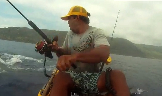 VIDEO: Chompy the shark