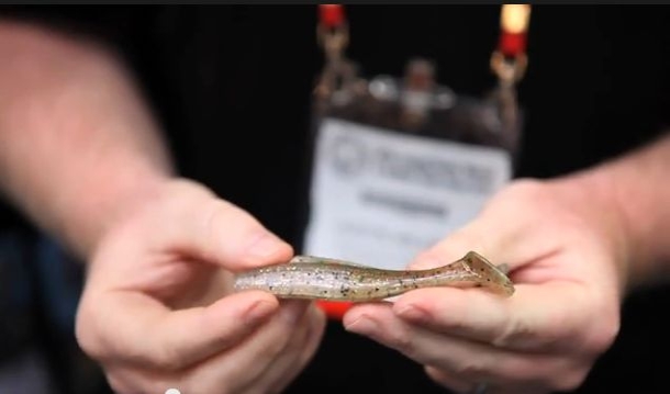 VIDEO: ZMan’s 4-inch DieZel and 3-inch Scented PogyZ