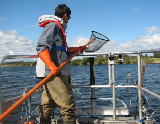 The 2013 snapper season in South Australia is closed from November 1 through until December 15. Image: Jamie Crawford