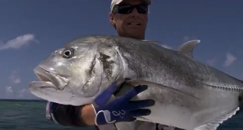 VIDEO: Ashmore Reef DVD trailer